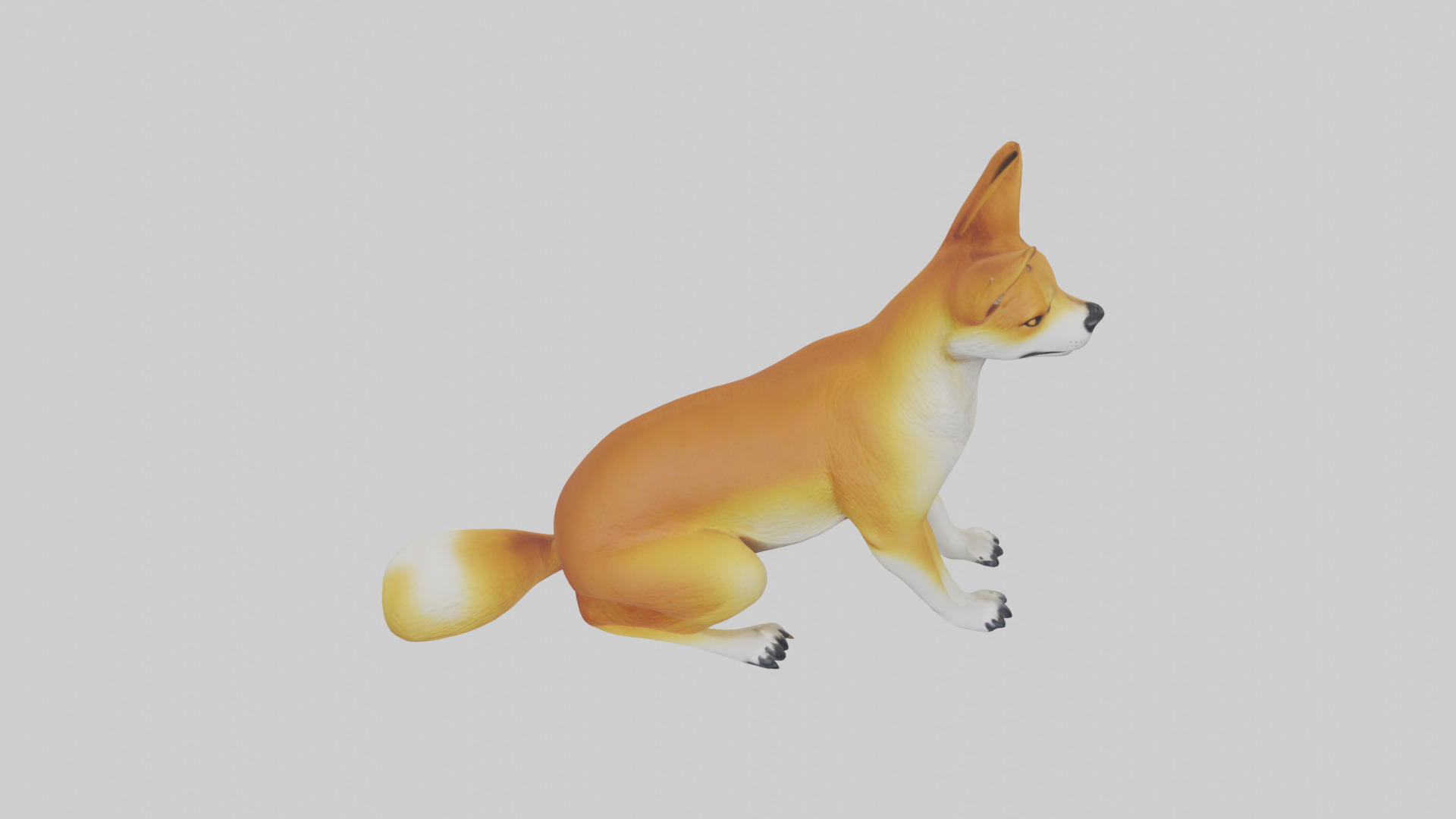 Dingo sitting model 3D model_16