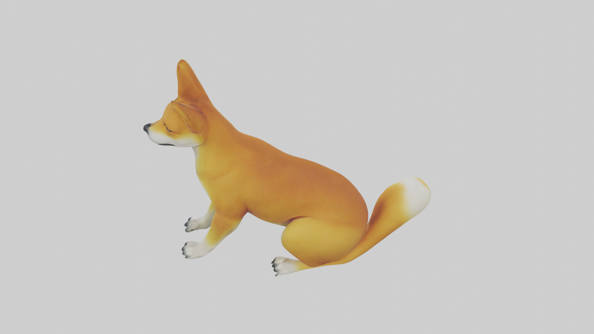 Dingo sitting model 3D model_15