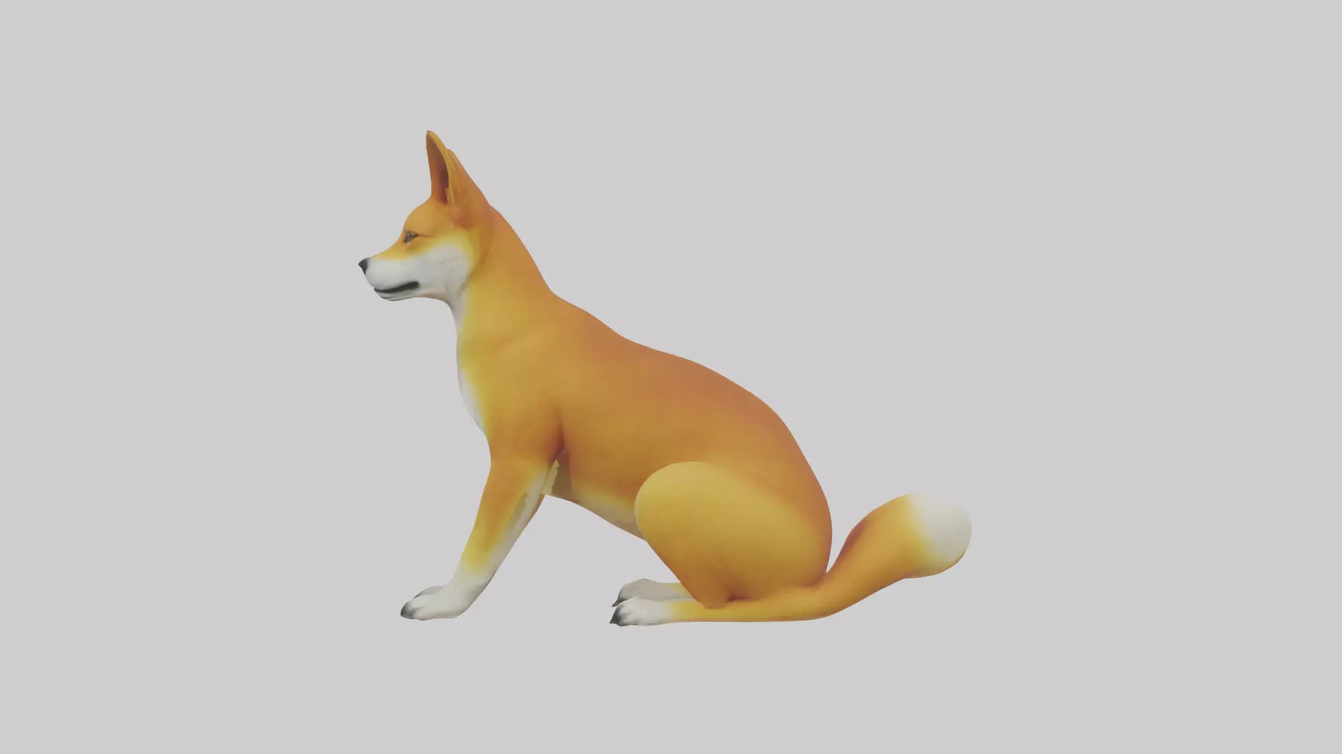 Dingo sitting model 3D model_0