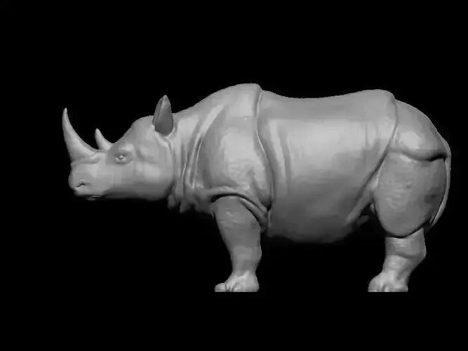 3D Rhinoceros