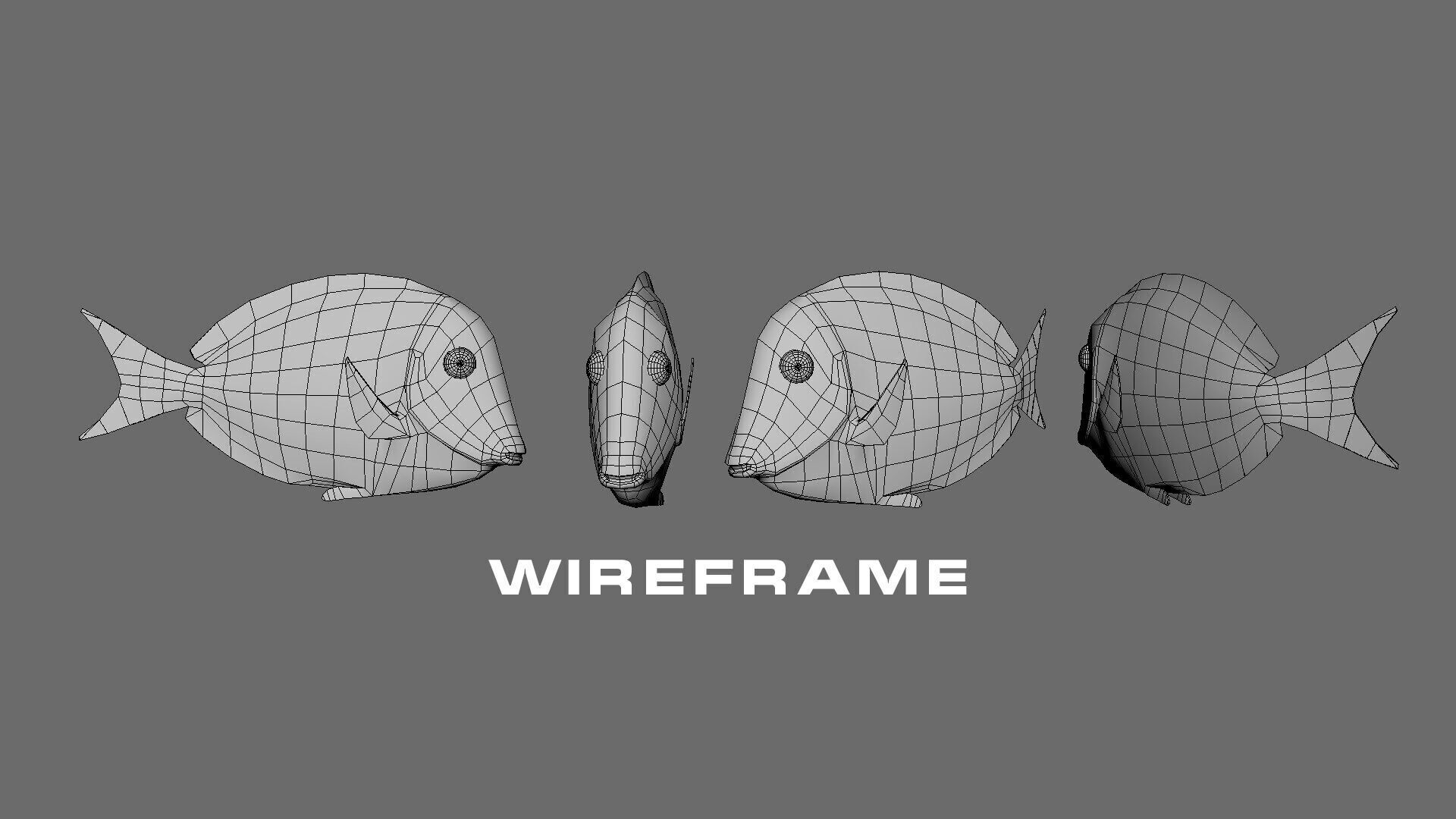 Low-Poly Acanthurus Leucosternon Animated Low-poly 3D model_13