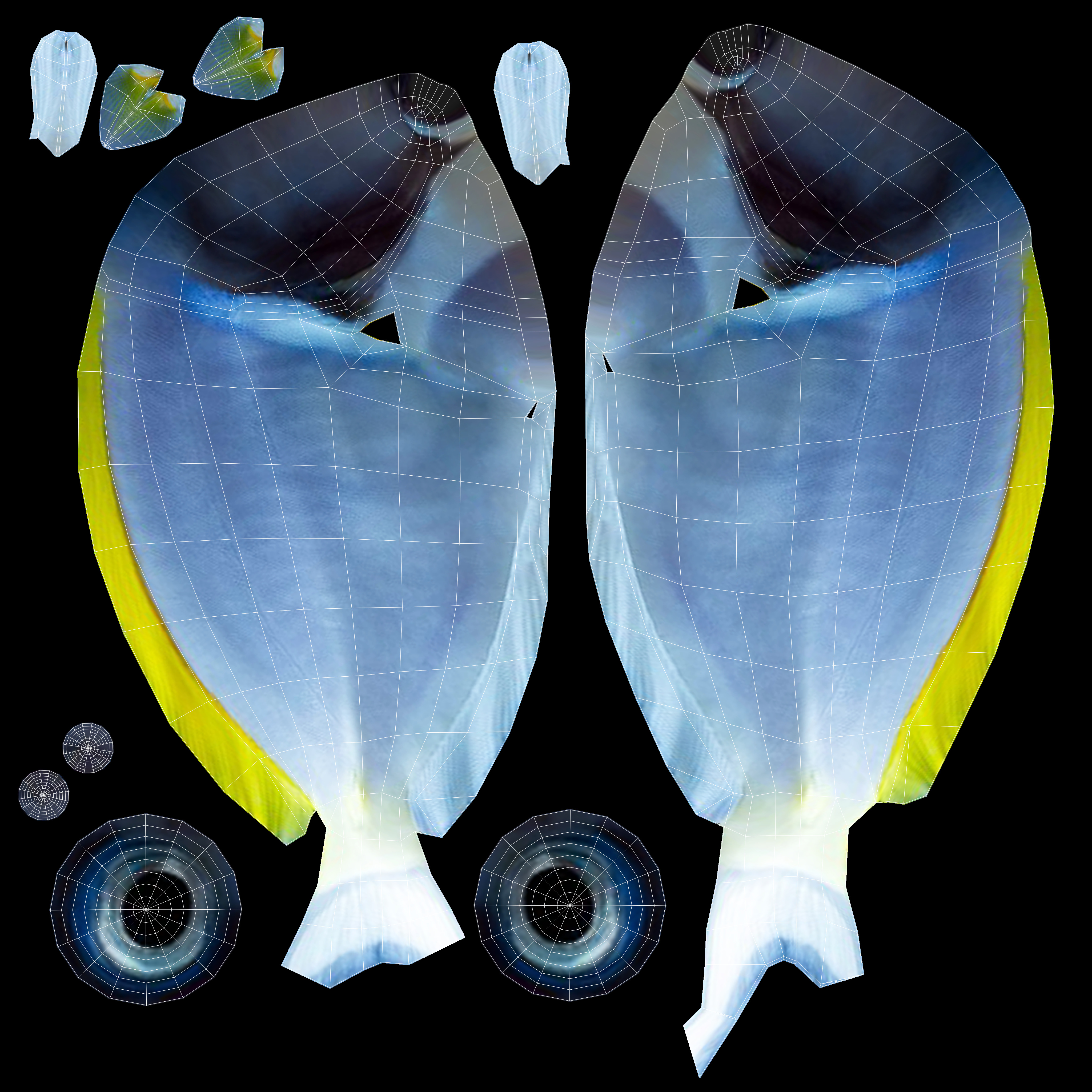 Low-Poly Acanthurus Leucosternon Animated Low-poly 3D model_12