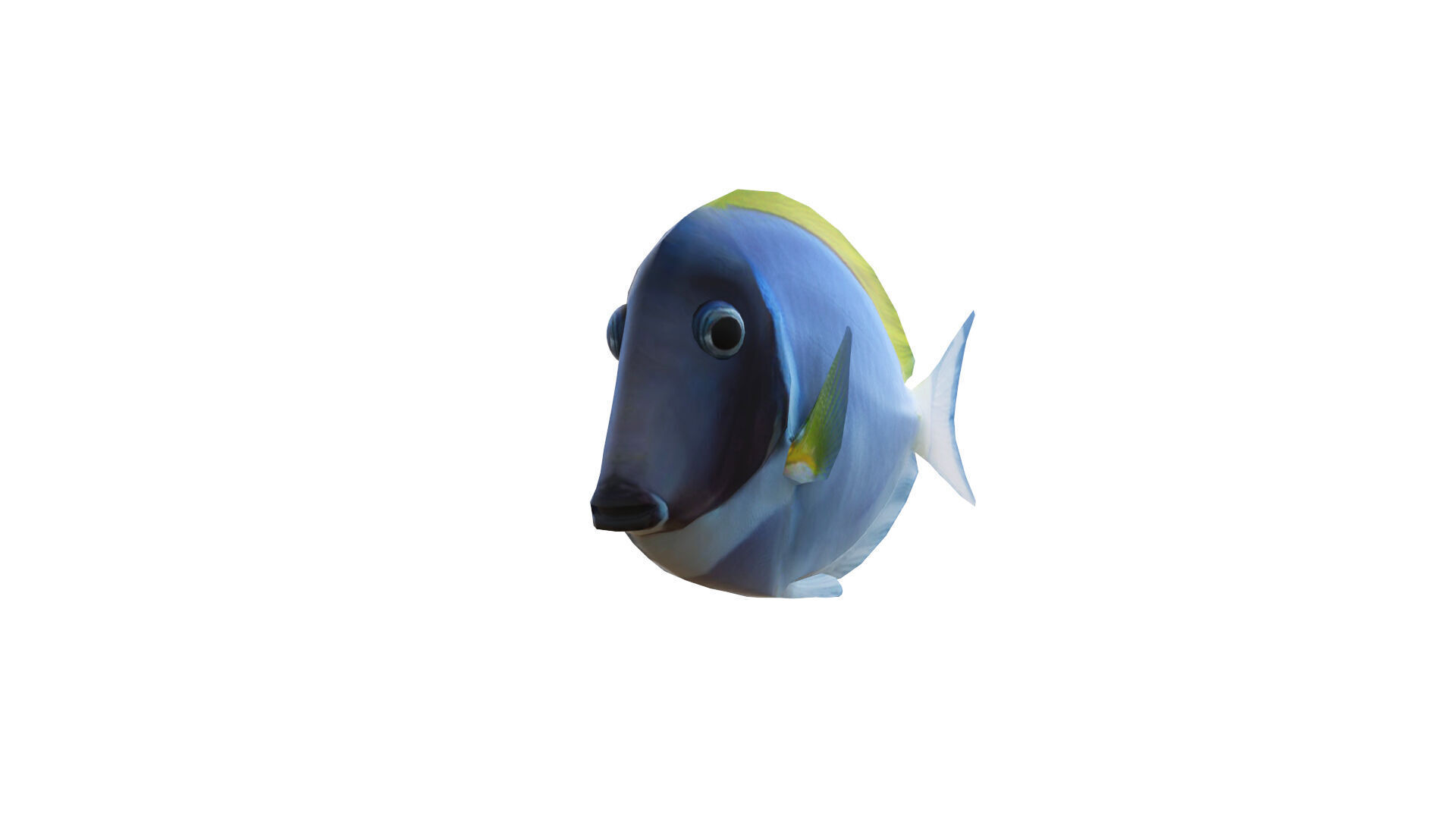 Low-Poly Acanthurus Leucosternon Animated Low-poly 3D model_3