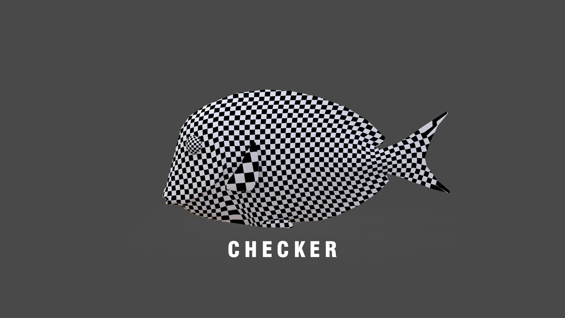 Low-Poly Acanthurus Leucosternon Animated Low-poly 3D model_11