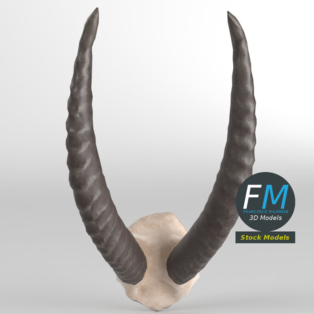 Stylized animal horns 3D model_3