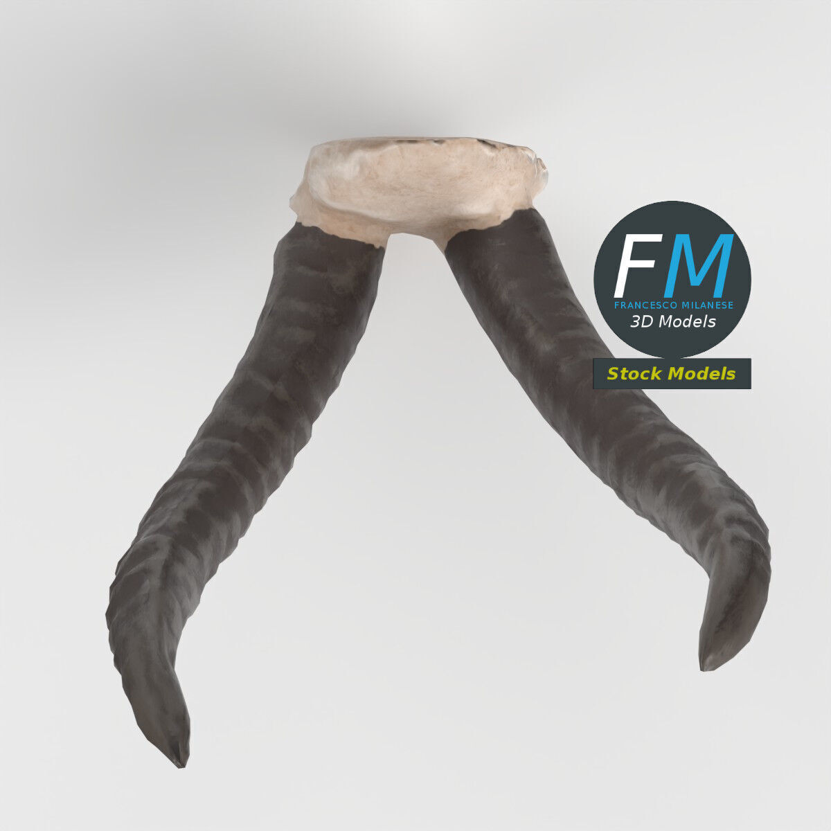 Stylized animal horns 3D model_6