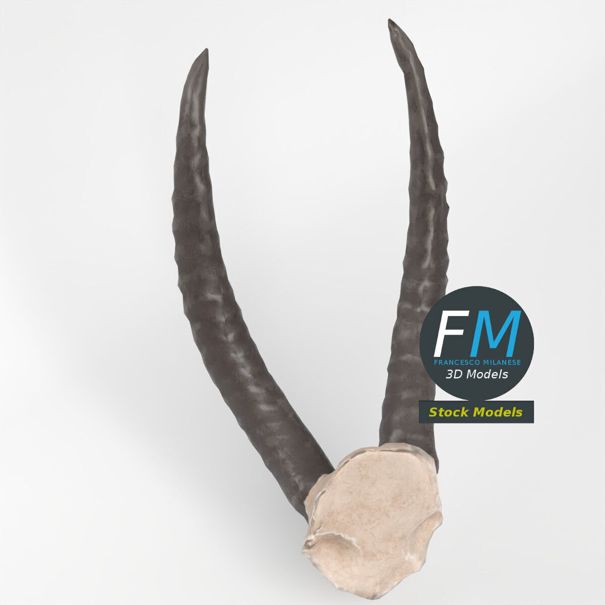 Stylized animal horns 3D model_2