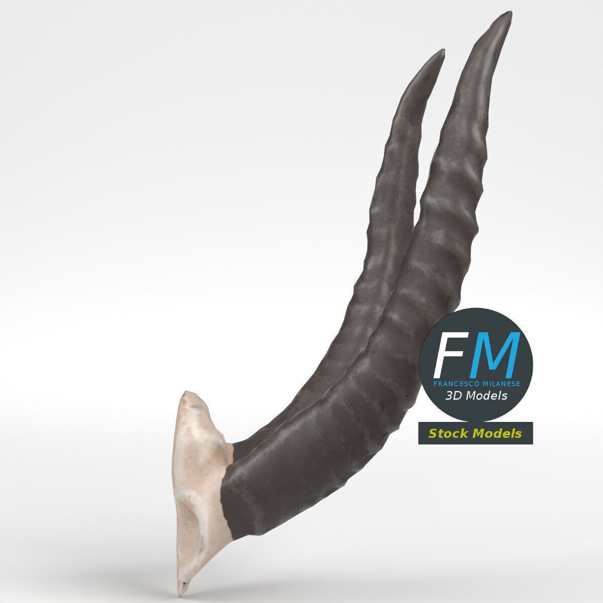 Stylized animal horns 3D model_4