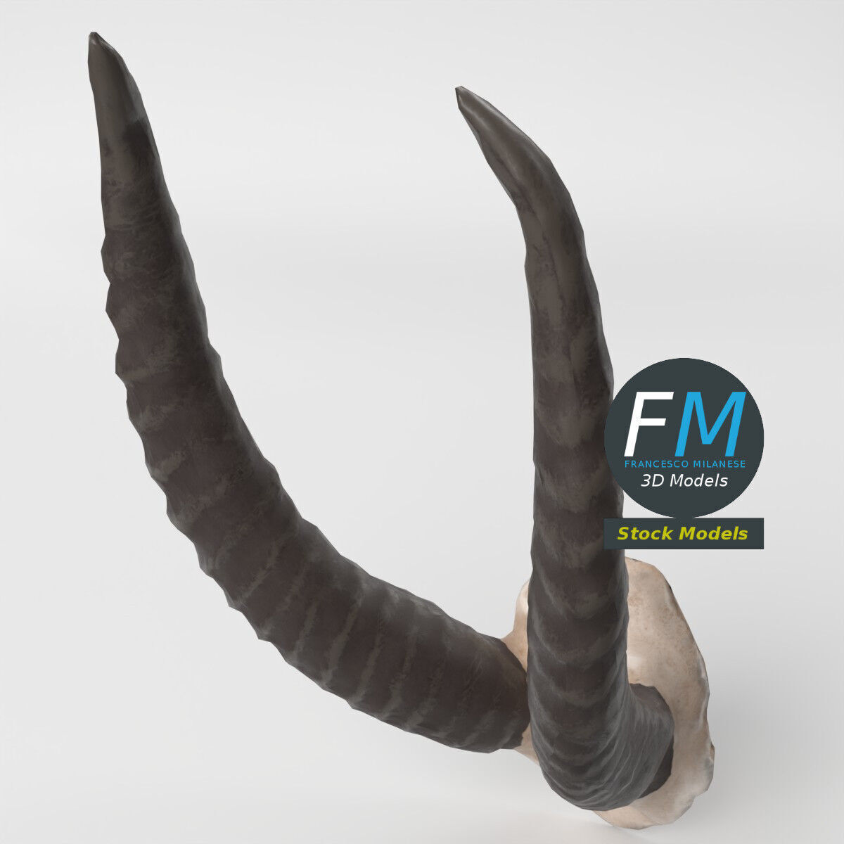 Stylized animal horns 3D model_5