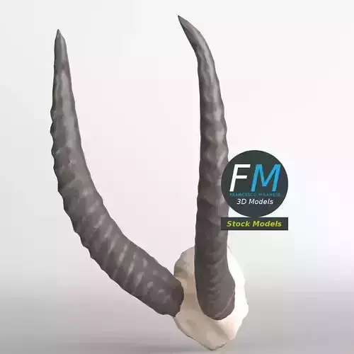 Stylized animal horns