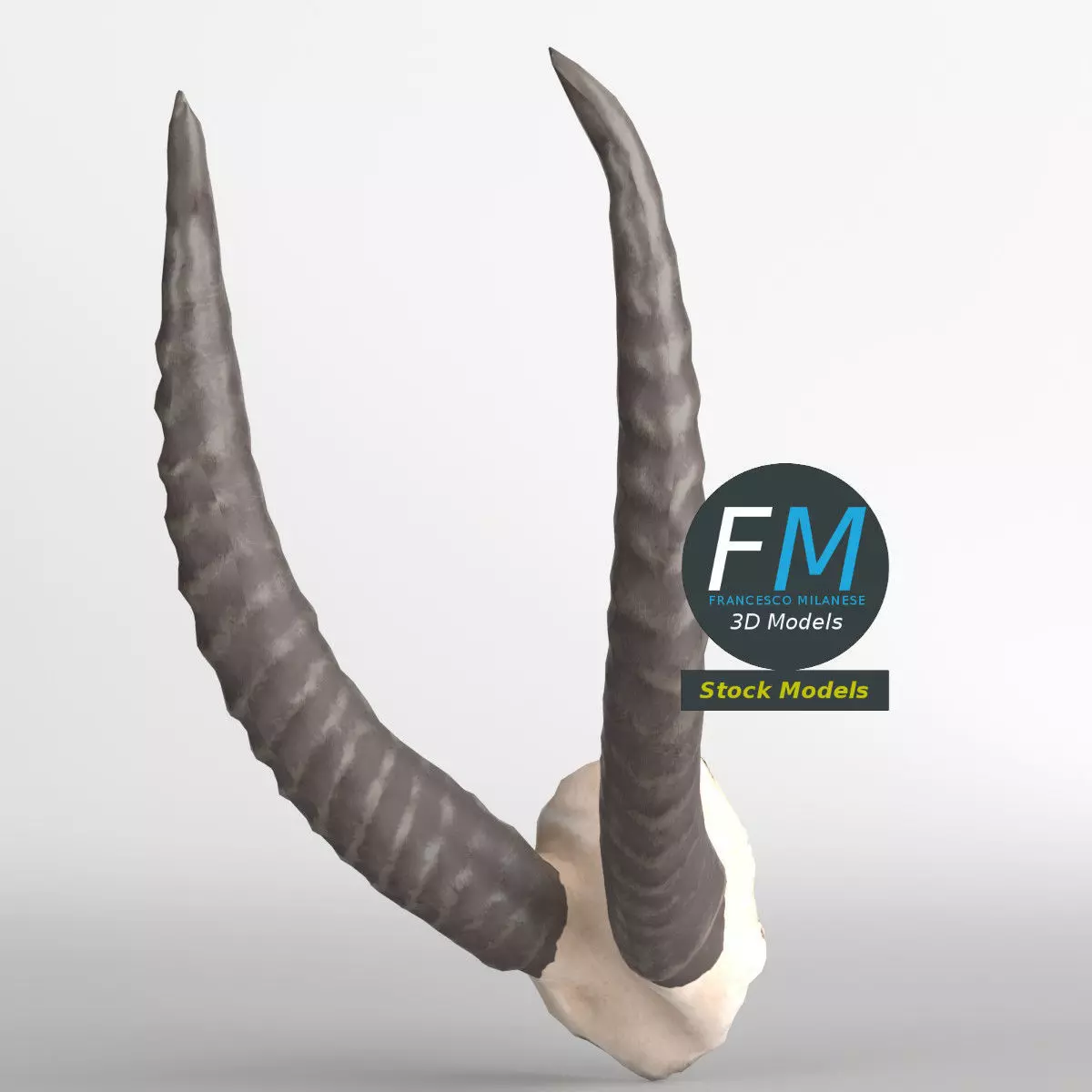 Stylized animal horns 3D model_0