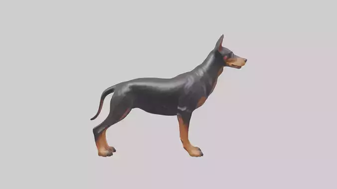 Doberman Pinscher statue model