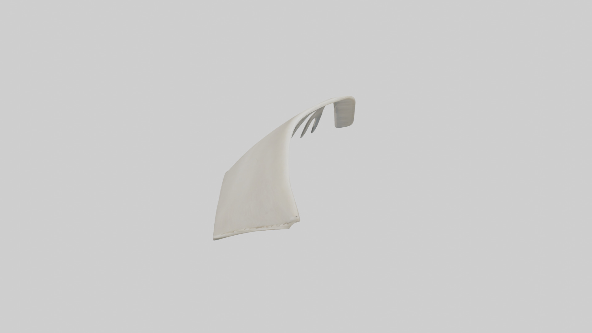 Dolphin Fin Skeleton model 3D model_18
