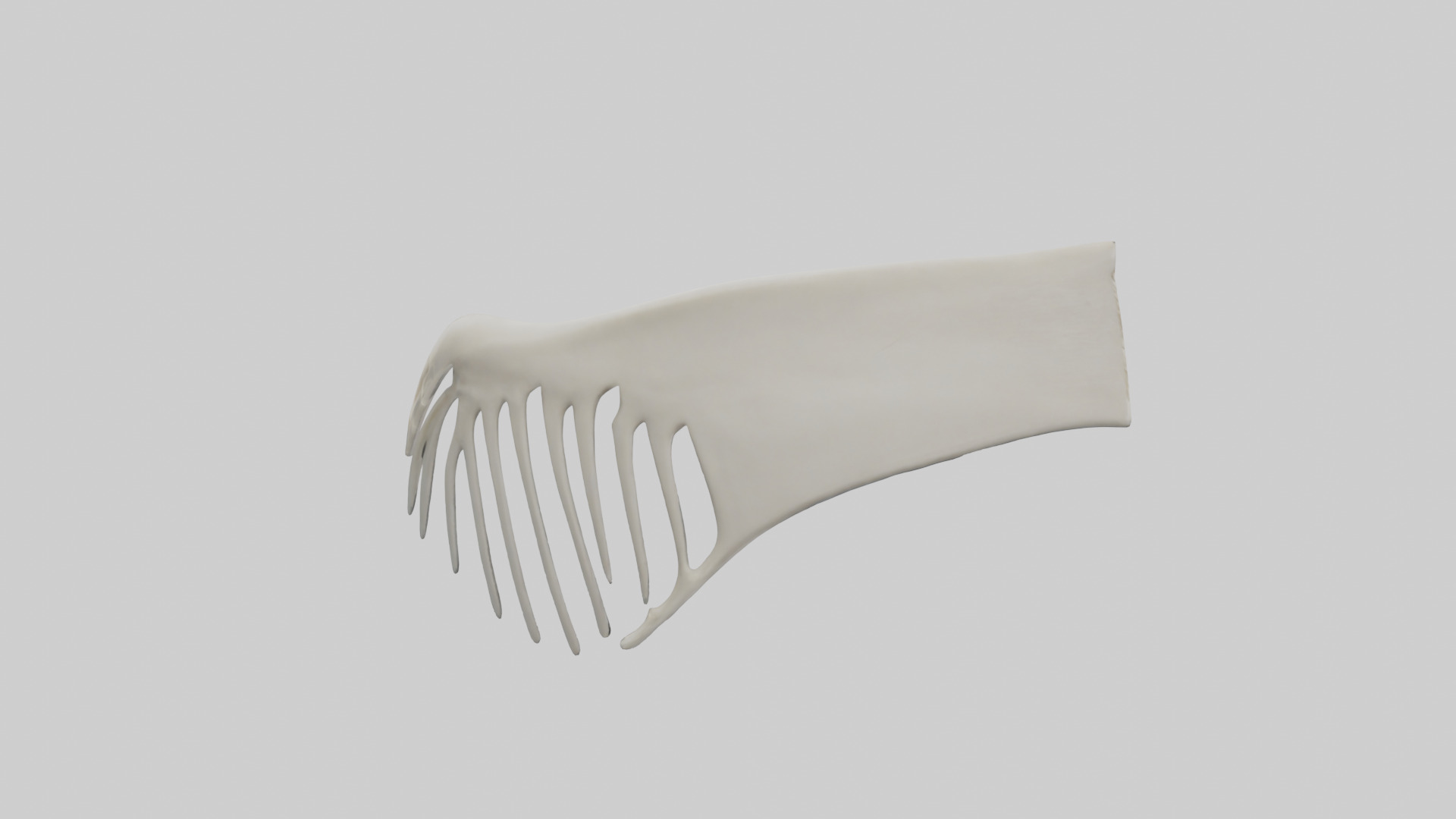 Dolphin Fin Skeleton model 3D model_15