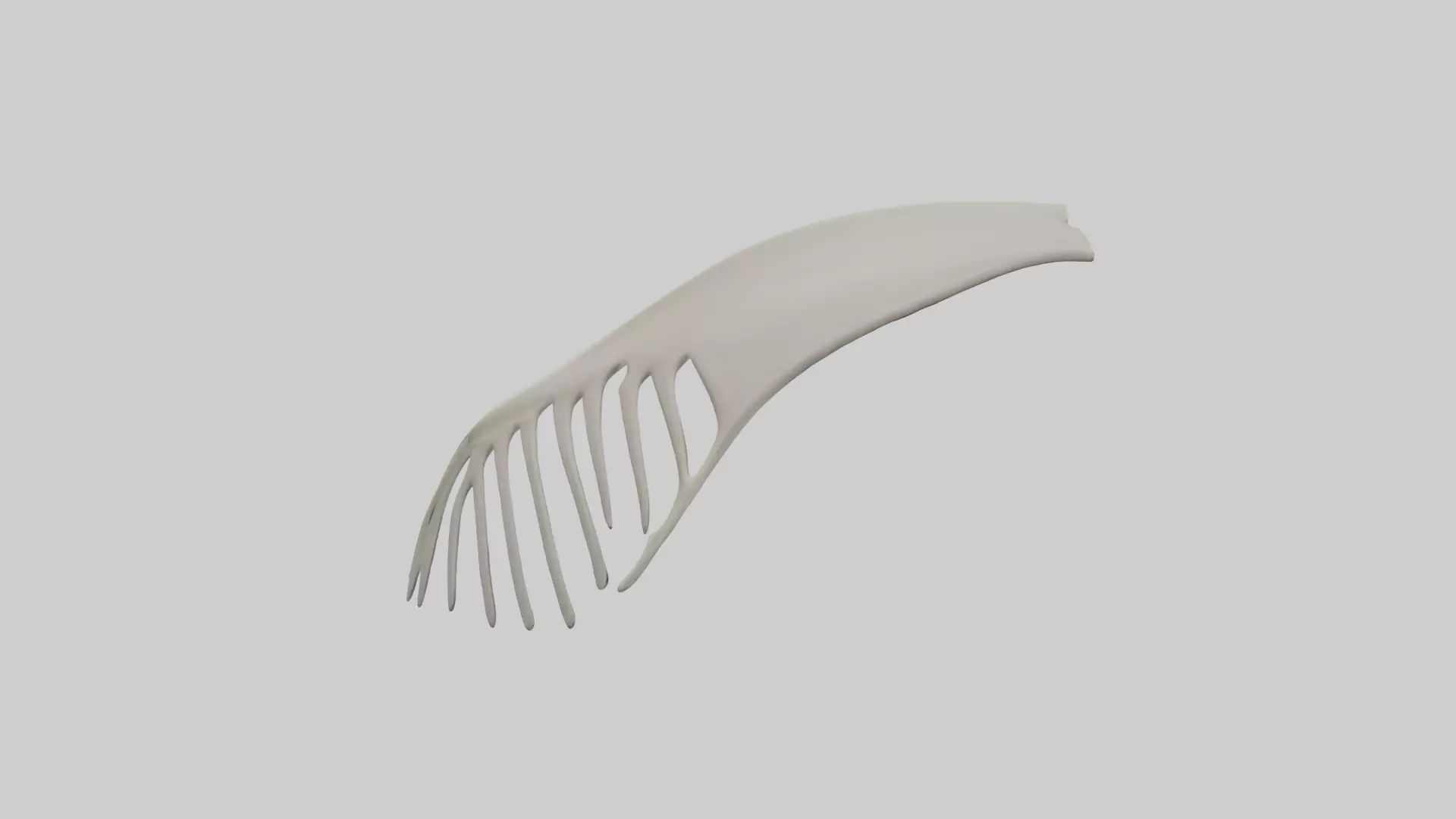 Dolphin Fin Skeleton model 3D model_0