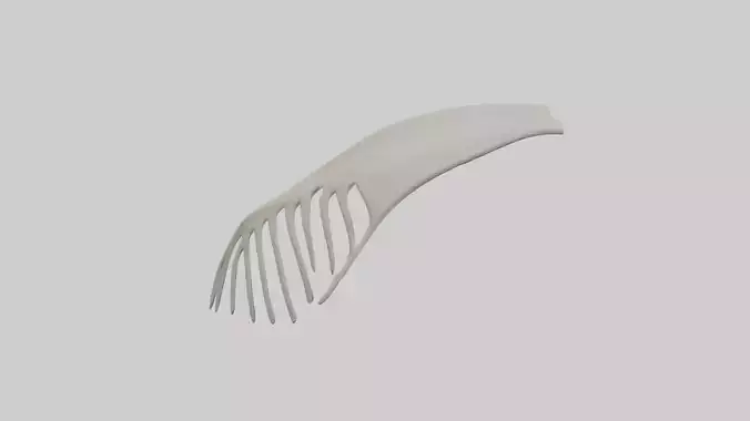 Dolphin Fin Skeleton model