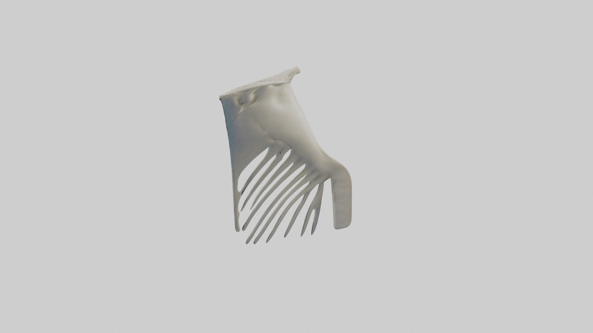 Dolphin Fin Skeleton model 3D model_13