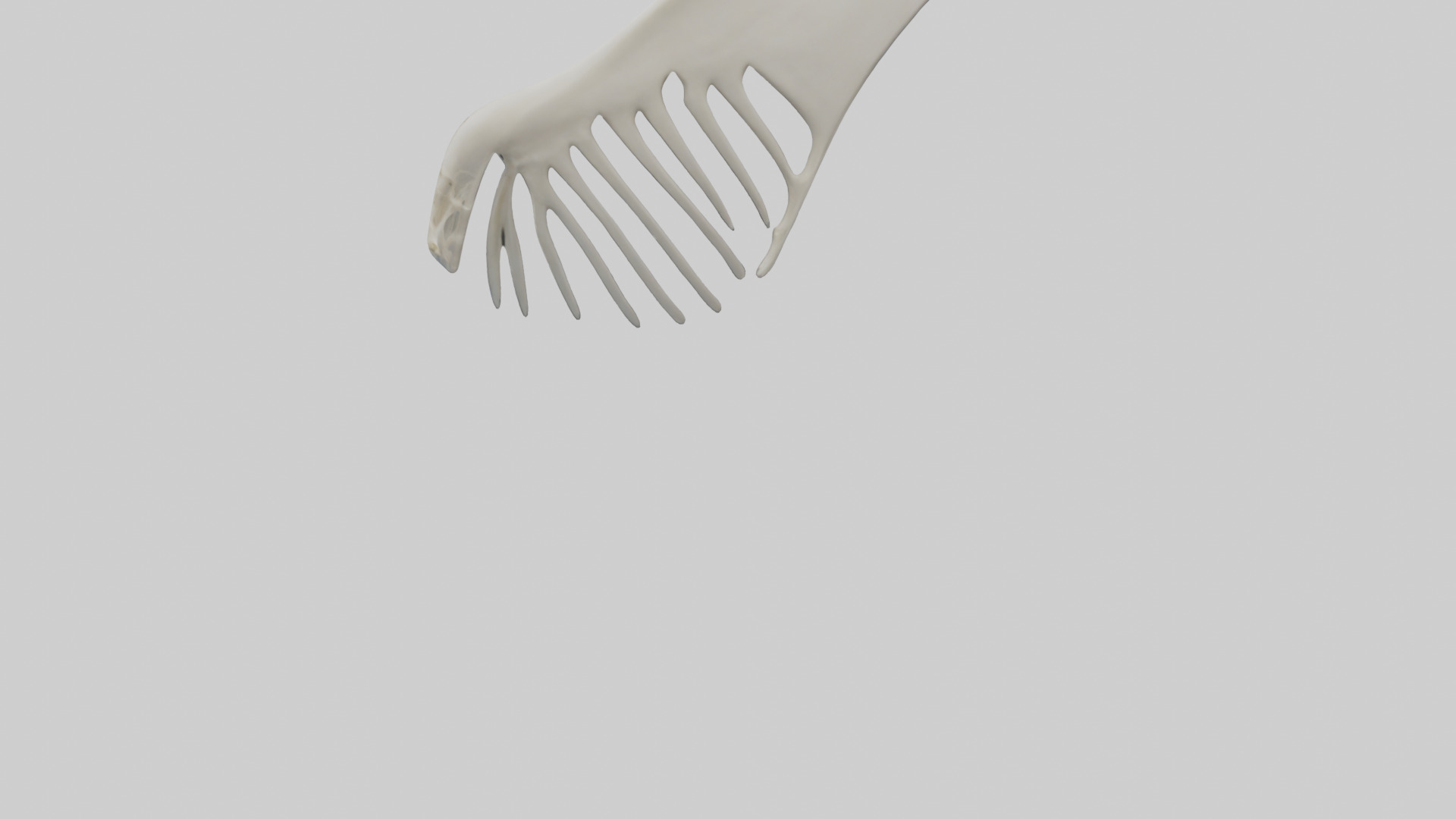 Dolphin Fin Skeleton model 3D model_3