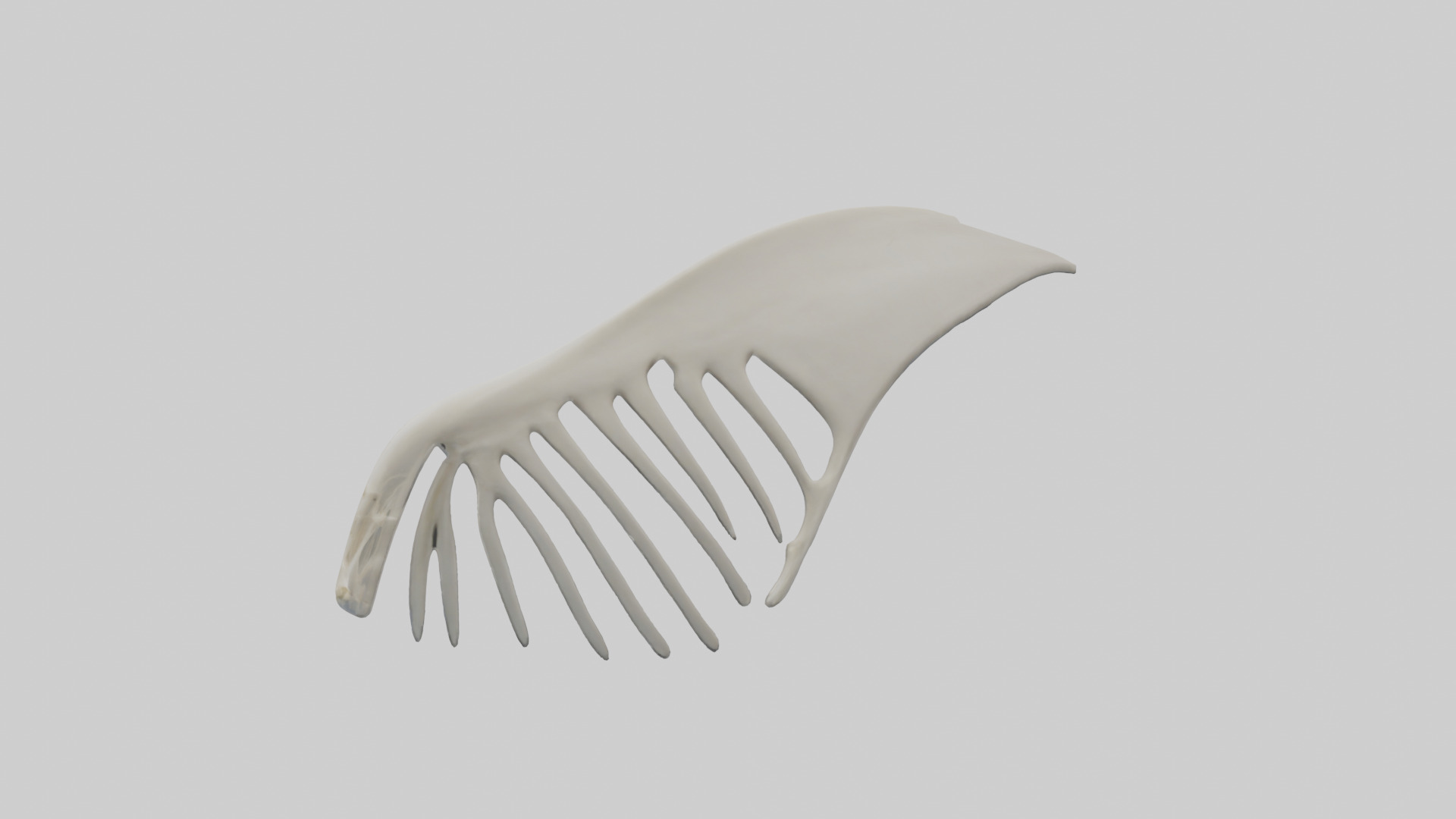 Dolphin Fin Skeleton model 3D model_1