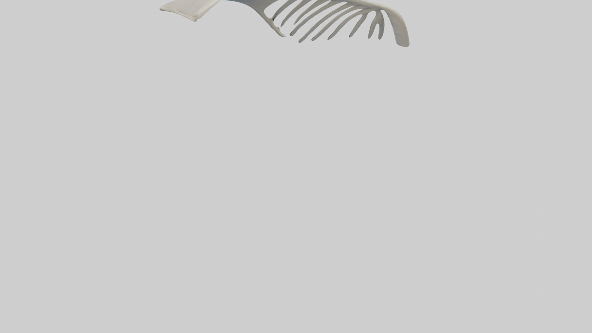 Dolphin Fin Skeleton model 3D model_6