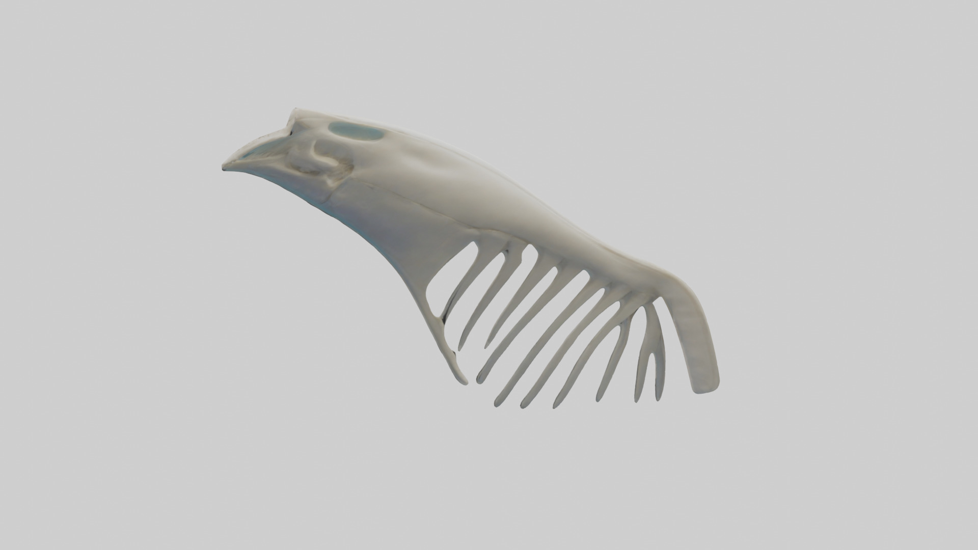 Dolphin Fin Skeleton model 3D model_11
