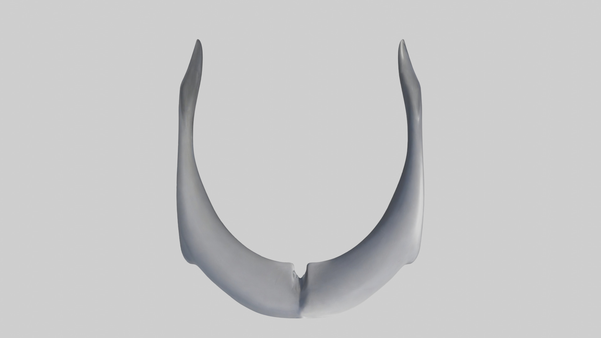Dolphin Rib 3D model_14