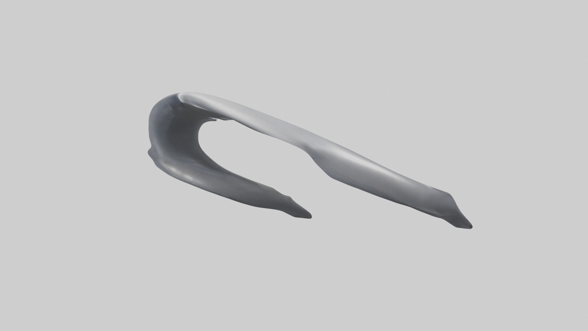 Dolphin Rib 3D model_8