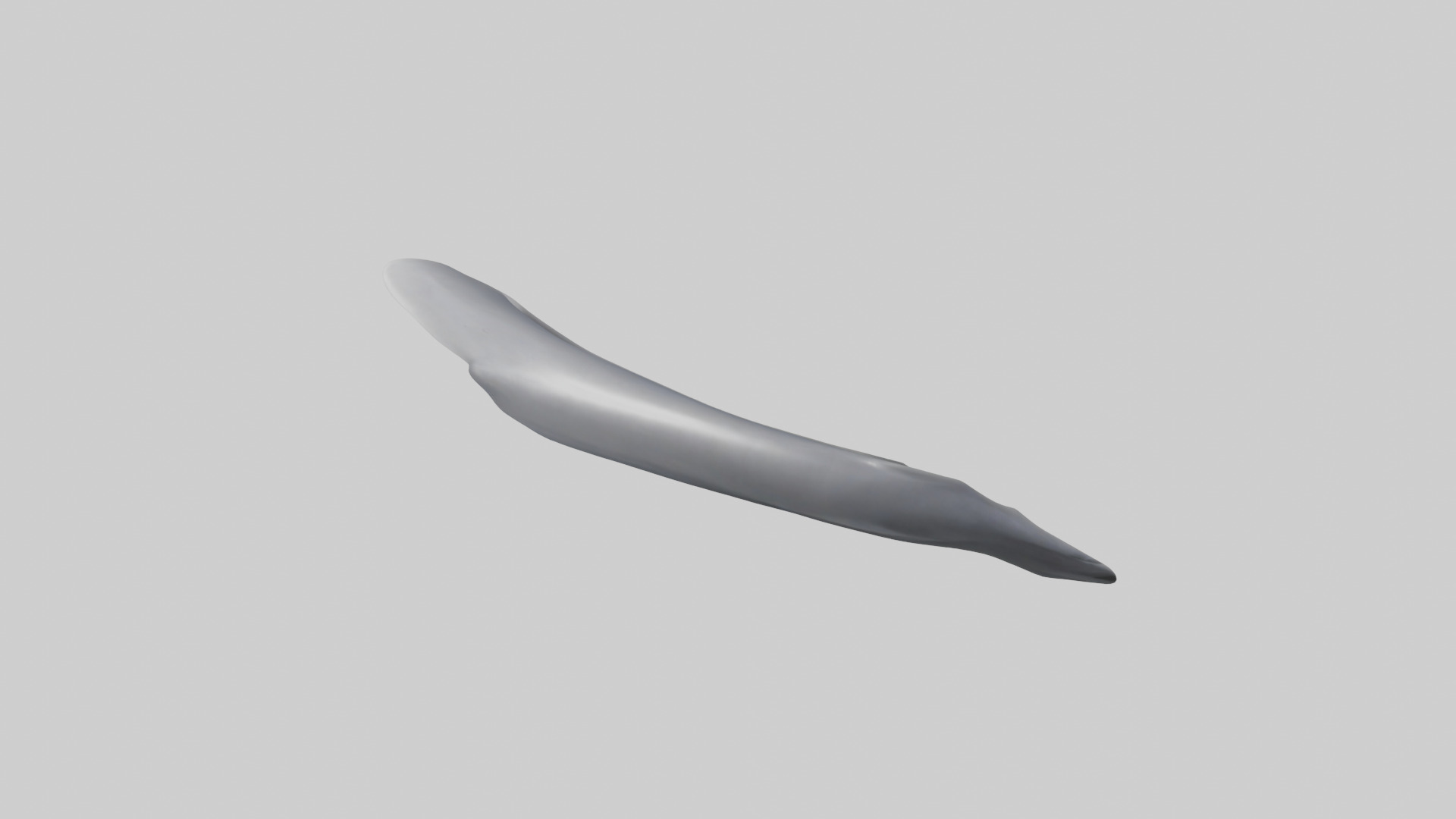 Dolphin Rib 3D model_12