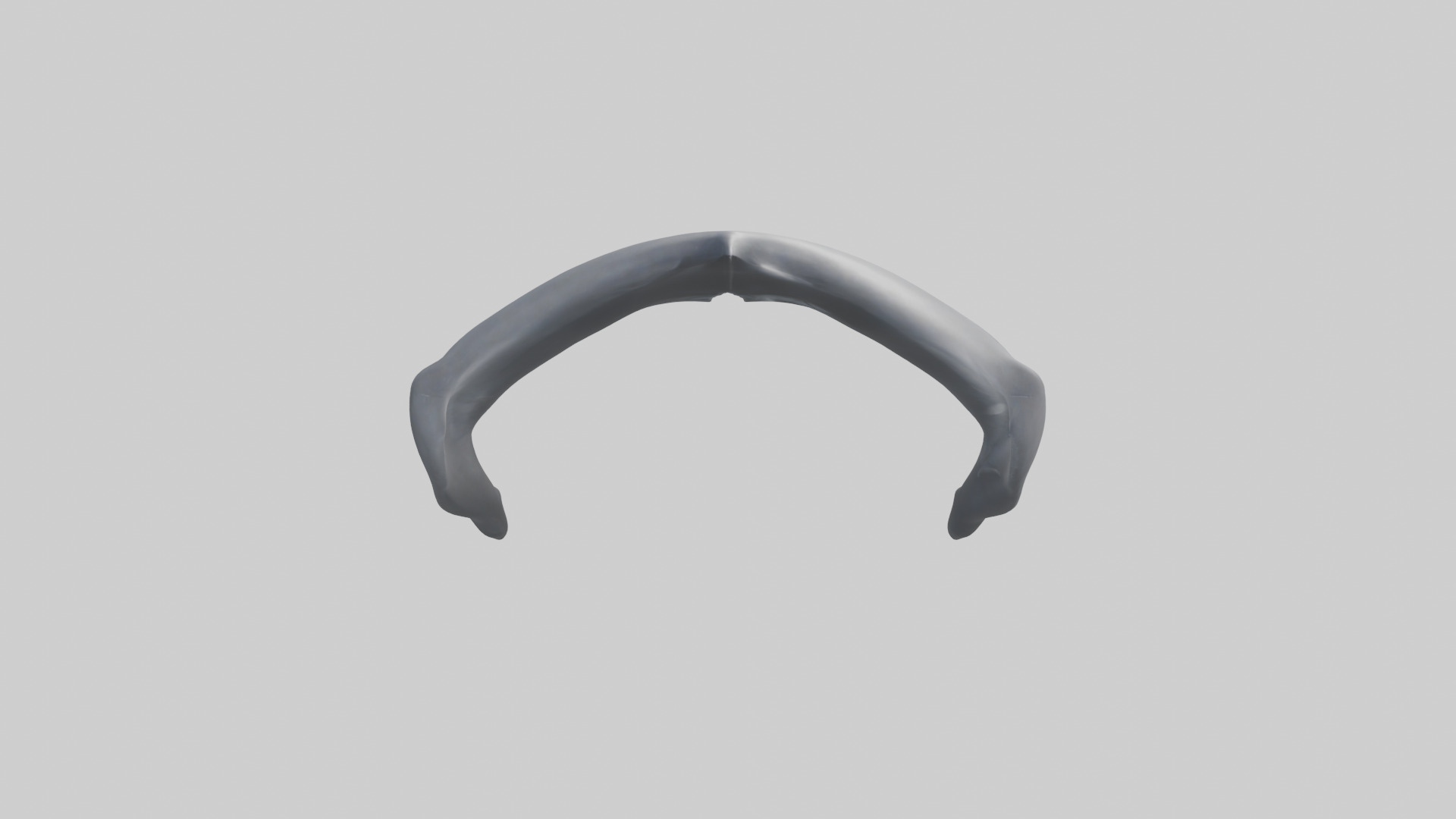 Dolphin Rib 3D model_9