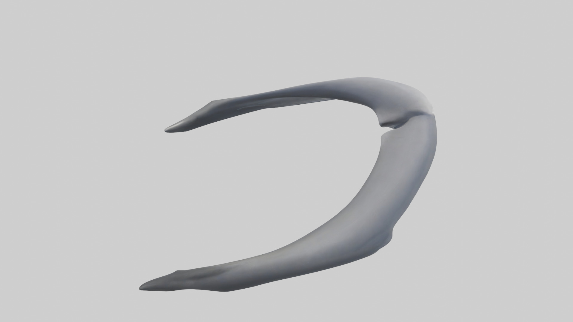Dolphin Rib 3D model_18