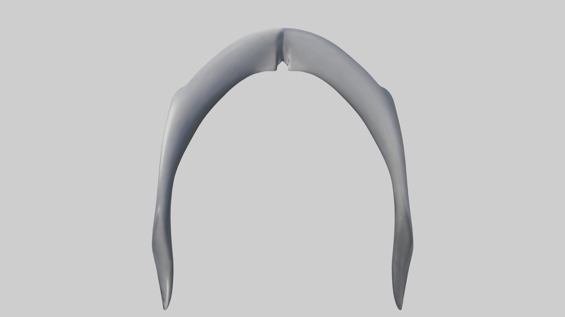Dolphin Rib 3D model_15