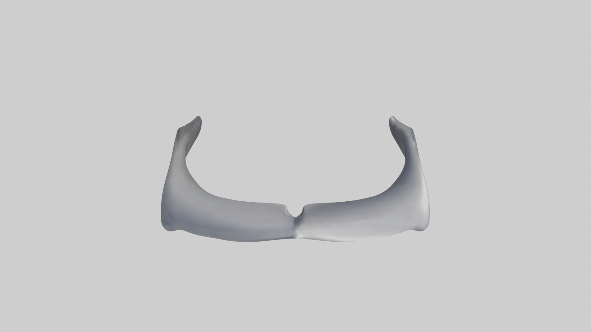 Dolphin Rib 3D model_16