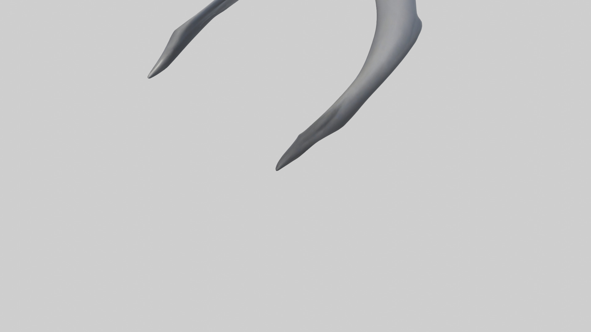 Dolphin Rib 3D model_4