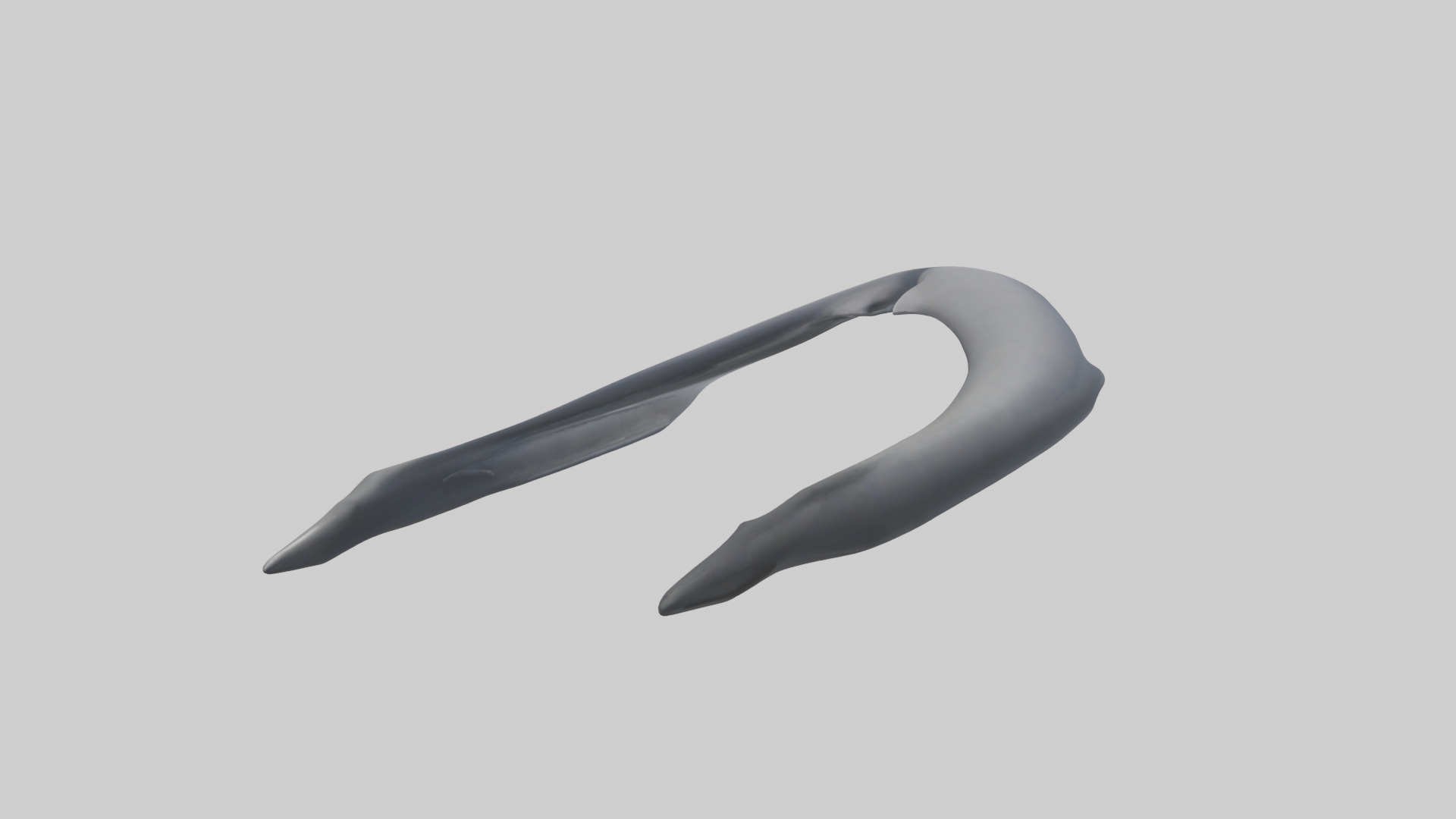 Dolphin Rib 3D model_2
