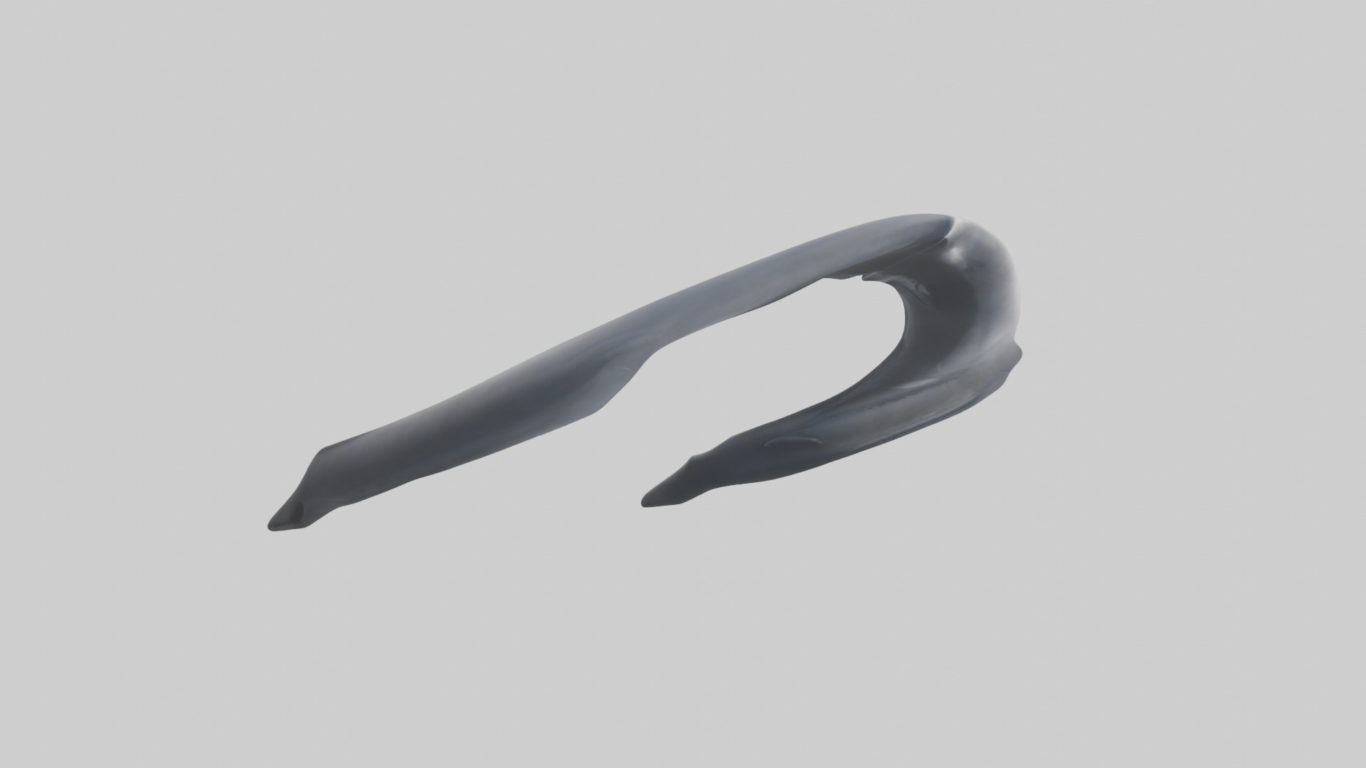 Dolphin Rib 3D model_11
