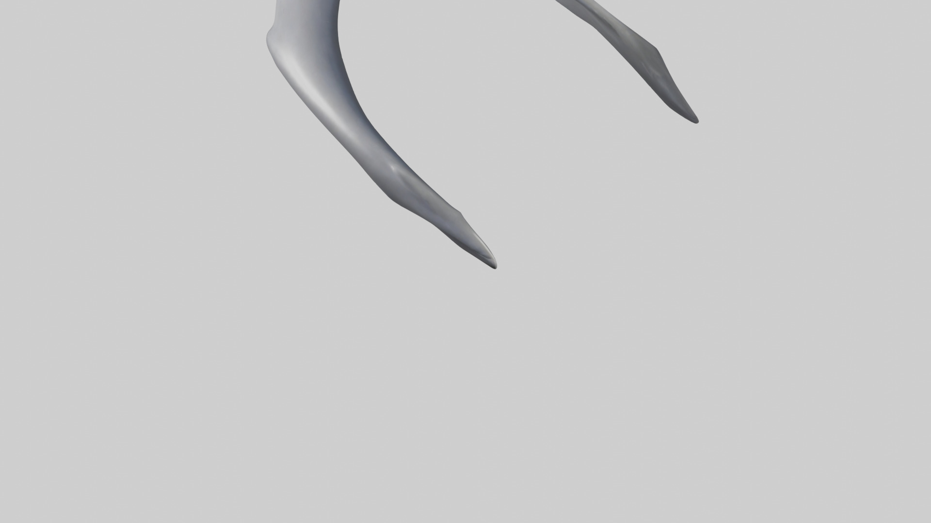 Dolphin Rib 3D model_3