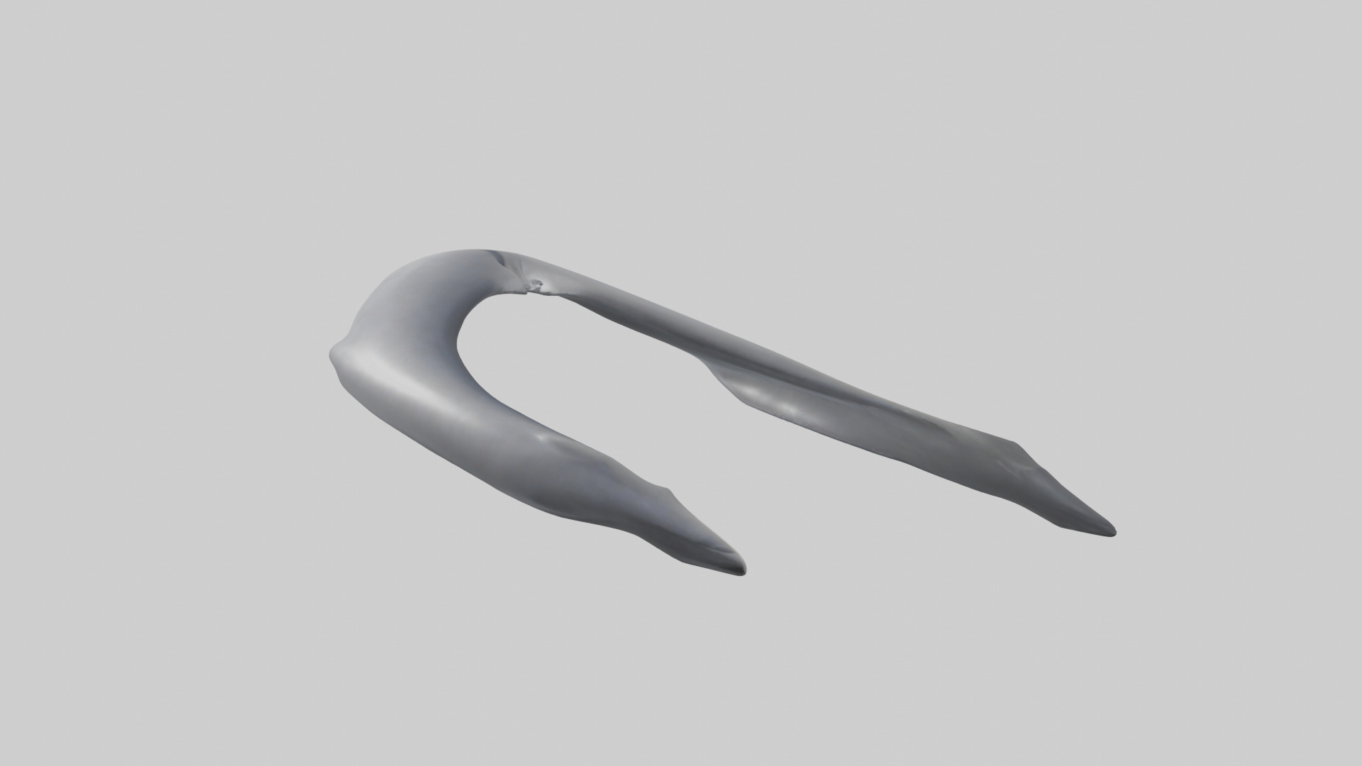 Dolphin Rib 3D model_1