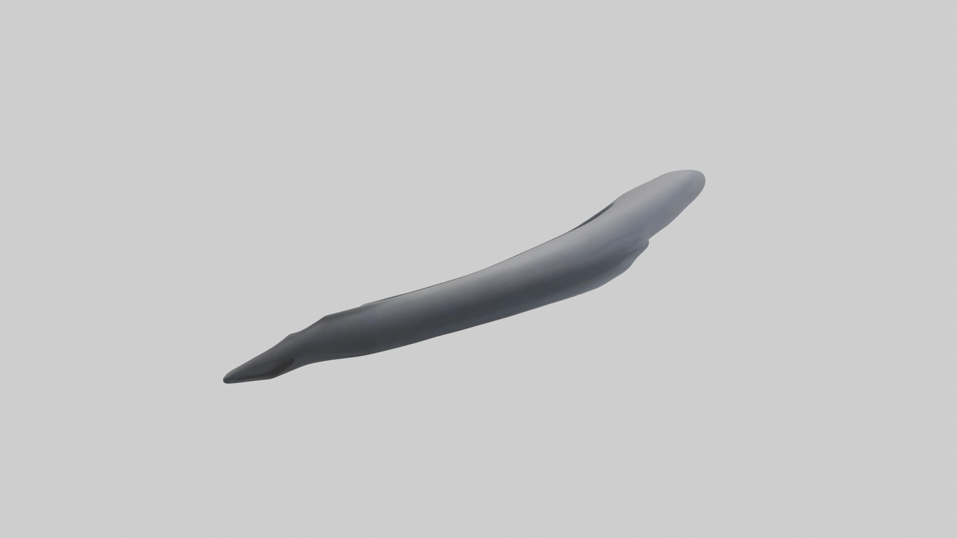 Dolphin Rib 3D model_13