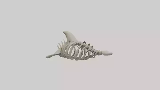 Dolphin statue model