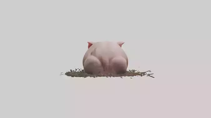 Domesticated Pig sleeping model 3D model