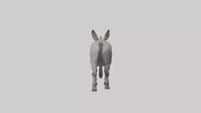 Donkey braying model