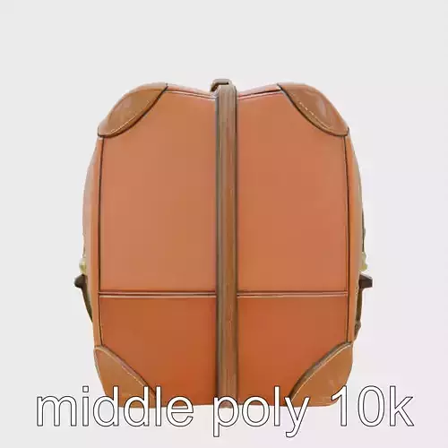 Vintage Leather Suitcase with Bronze Hardware