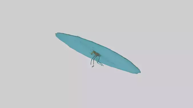 Dragonfly hovering over water model 3D model