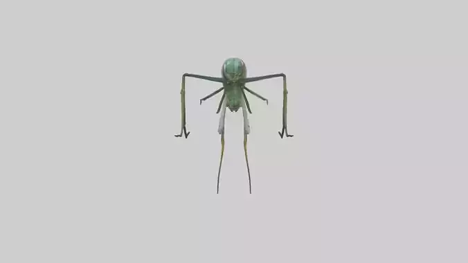 Dragonfly Legs Model