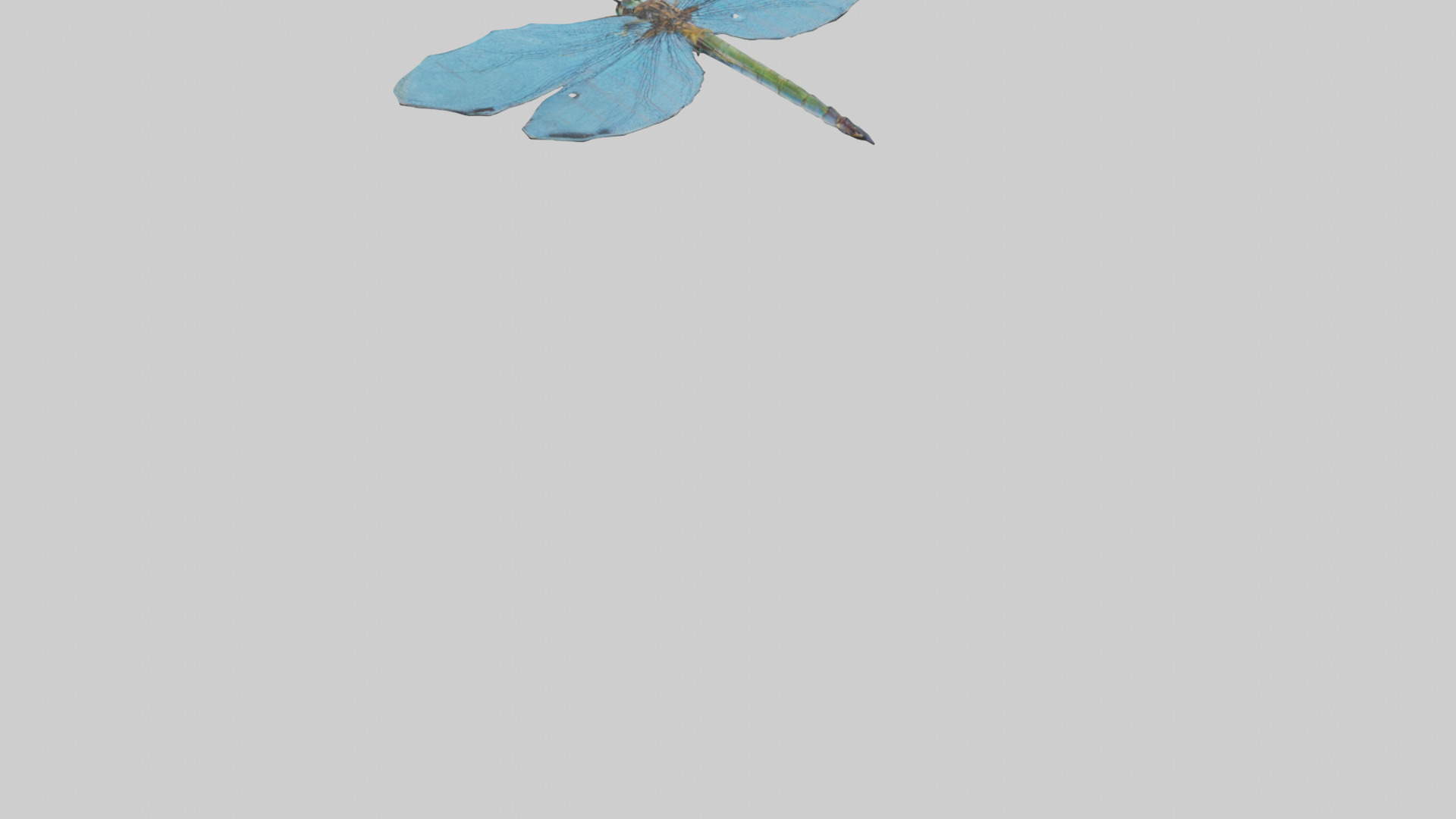 Dragonfly Wings 3D model_3