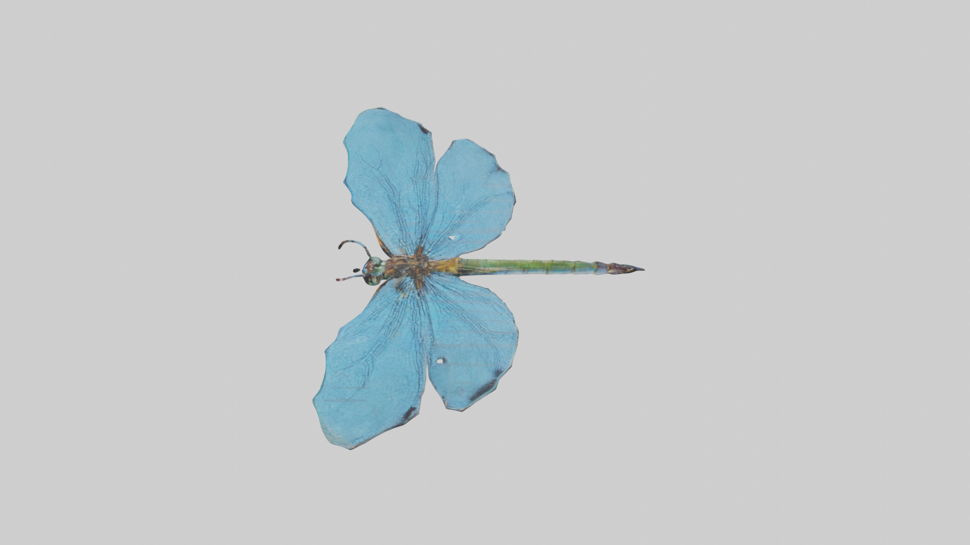 Dragonfly Wings 3D model_17