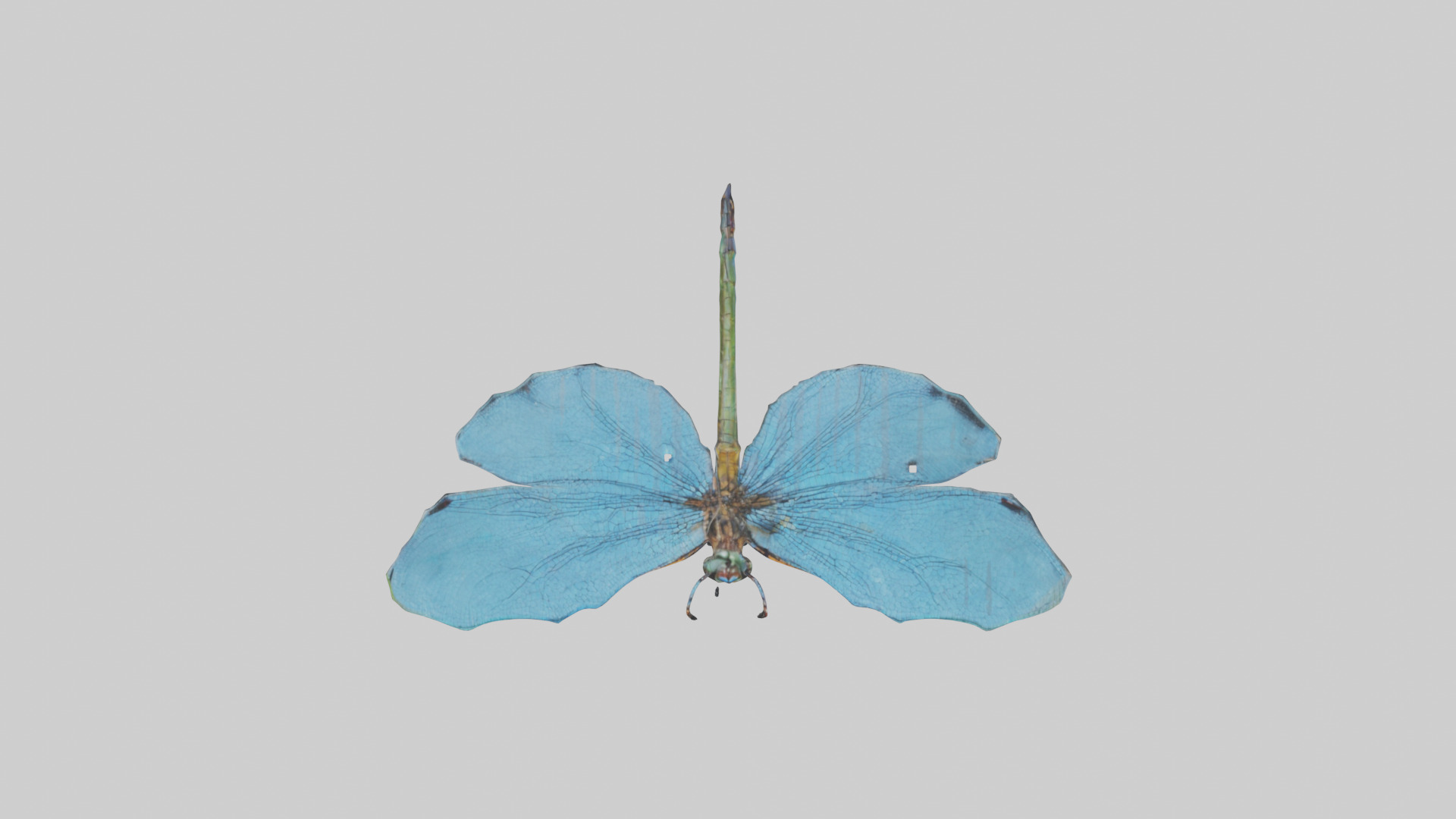 Dragonfly Wings 3D model_14
