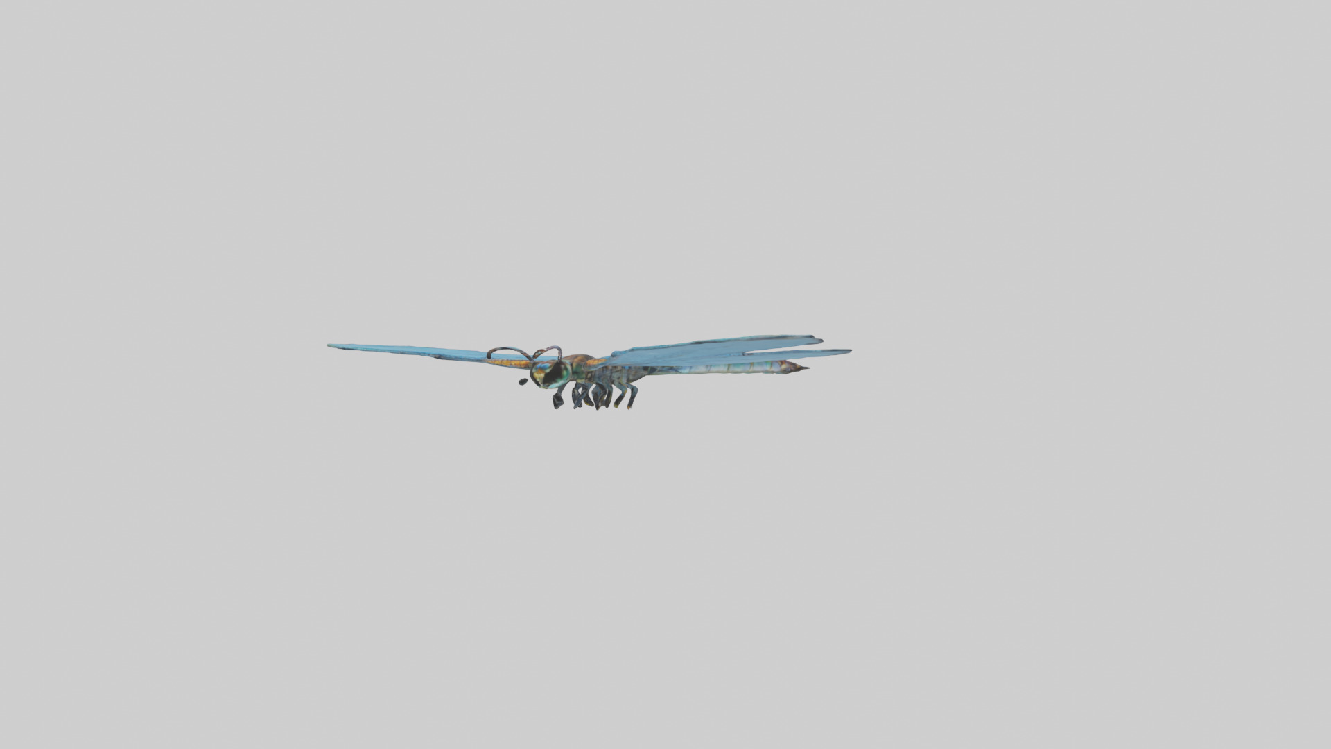 Dragonfly Wings 3D model_10