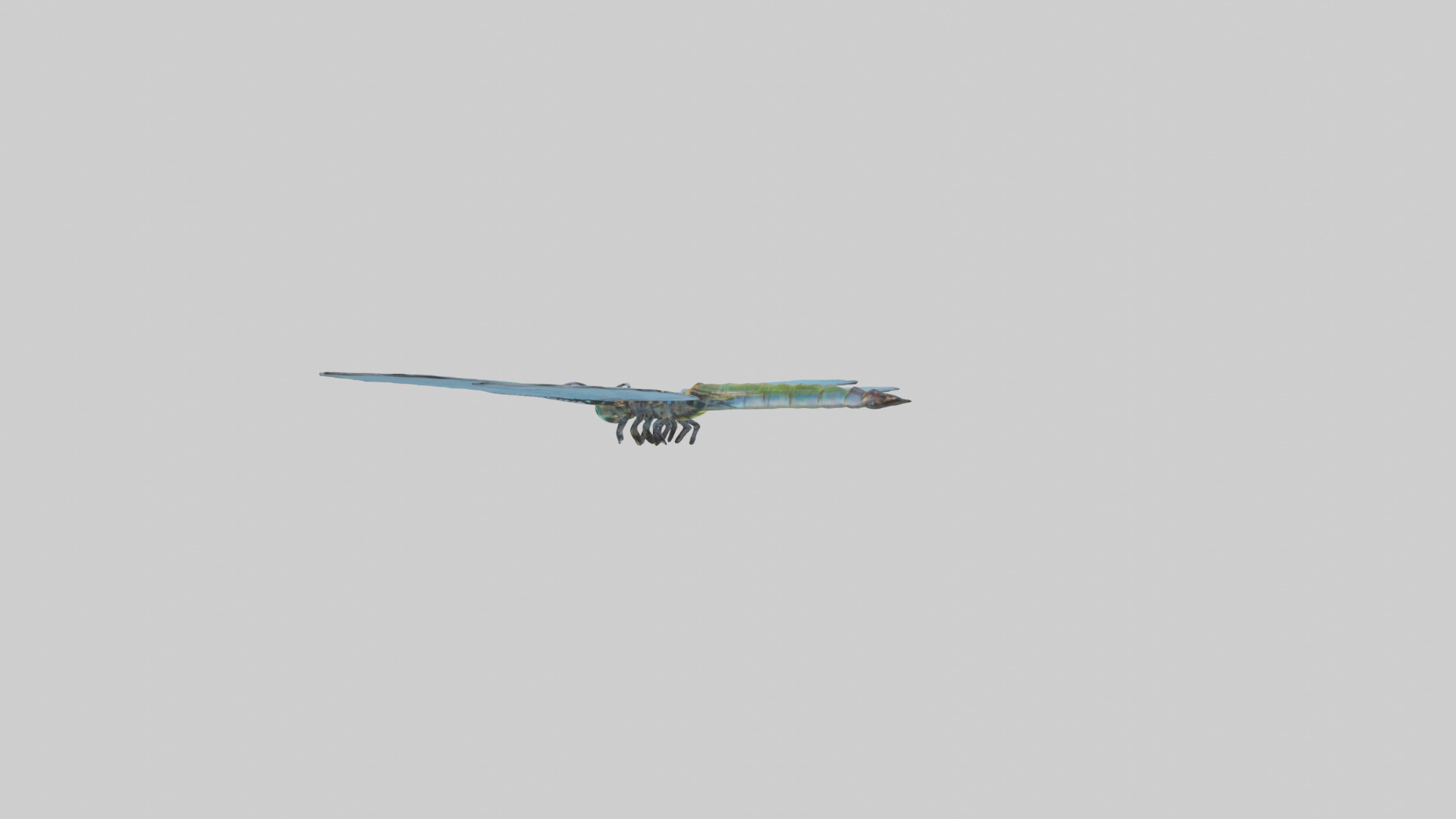 Dragonfly Wings 3D model_1