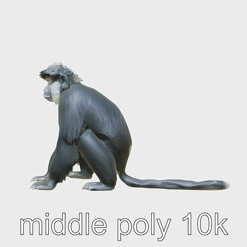 Black Crested Gibbon 3D Model with Detailed Fur Low-poly 3D model